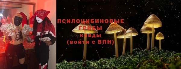 гидра Аркадак