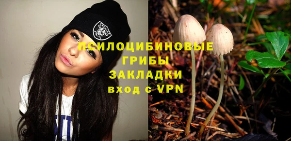 бошки Арсеньев