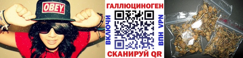 Псилоцибиновые грибы Psilocybine cubensis где можно купить Людиново
